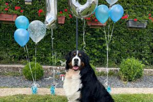 Quincy 10 Jahre