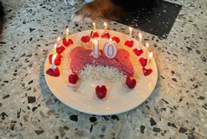 Quincy 10 Jahre